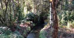 Parcela El Molco Villarrica-Pucón