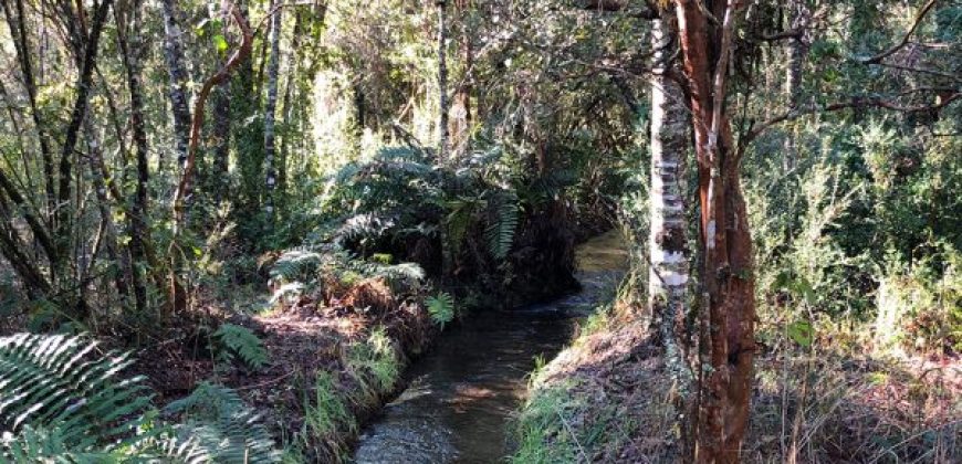 Parcela El Molco Villarrica-Pucón