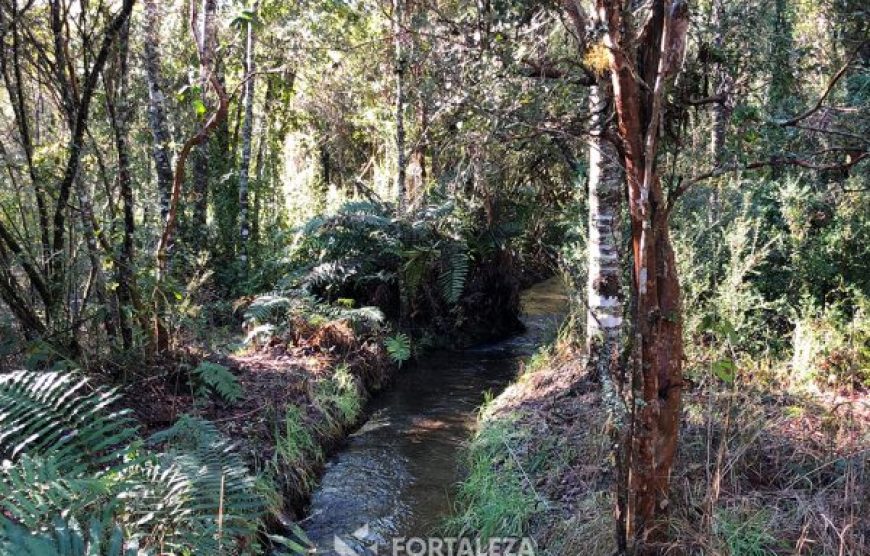 Parcela El Molco Villarrica-Pucón
