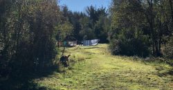 Parcela El Molco Villarrica-Pucón