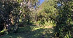 Parcela El Molco Villarrica-Pucón