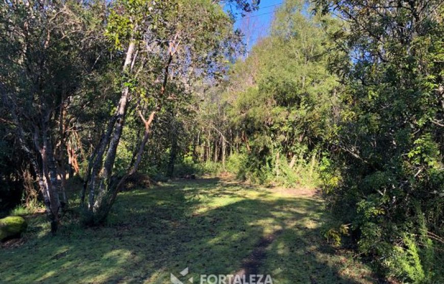 Parcela El Molco Villarrica-Pucón