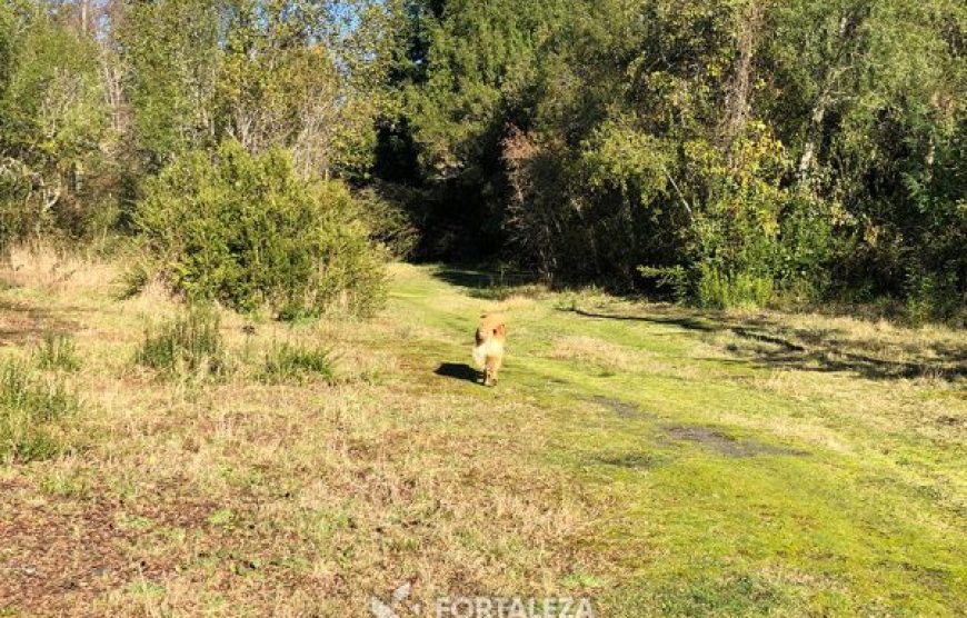 Parcela El Molco Villarrica-Pucón