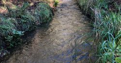 Parcela El Molco Villarrica-Pucón