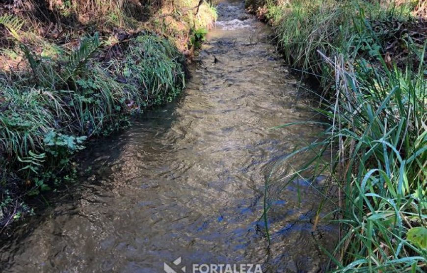 Parcela El Molco Villarrica-Pucón