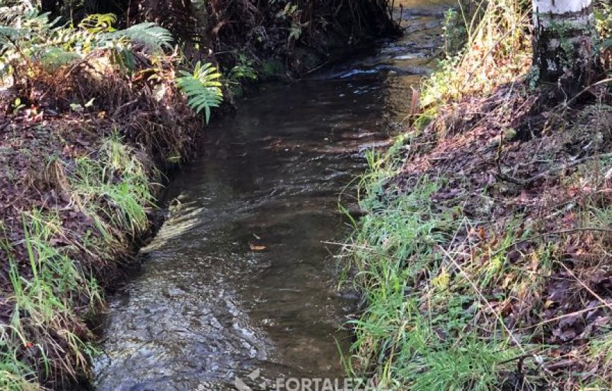 Parcela El Molco Villarrica-Pucón