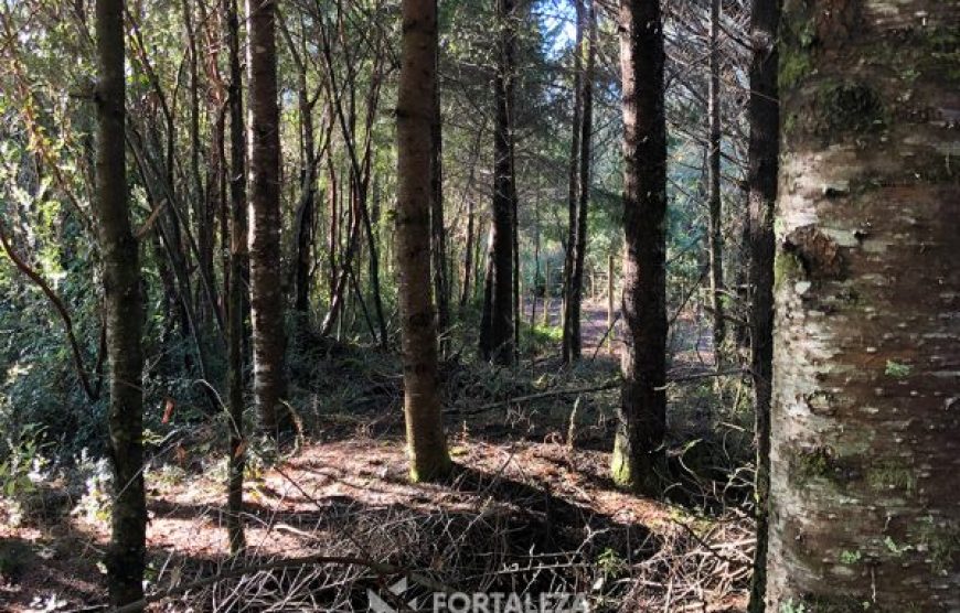 Parcela El Molco Villarrica-Pucón