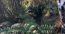 Parcela El Molco Villarrica-Pucón