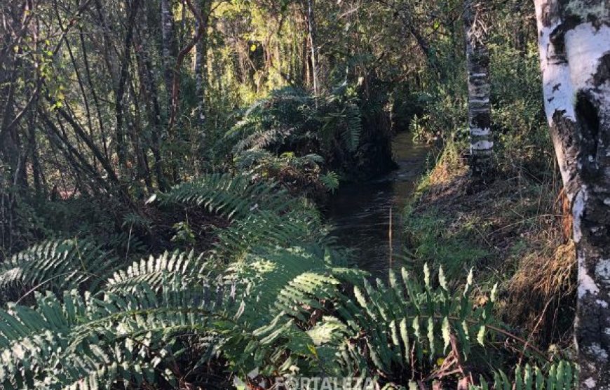 Parcela El Molco Villarrica-Pucón