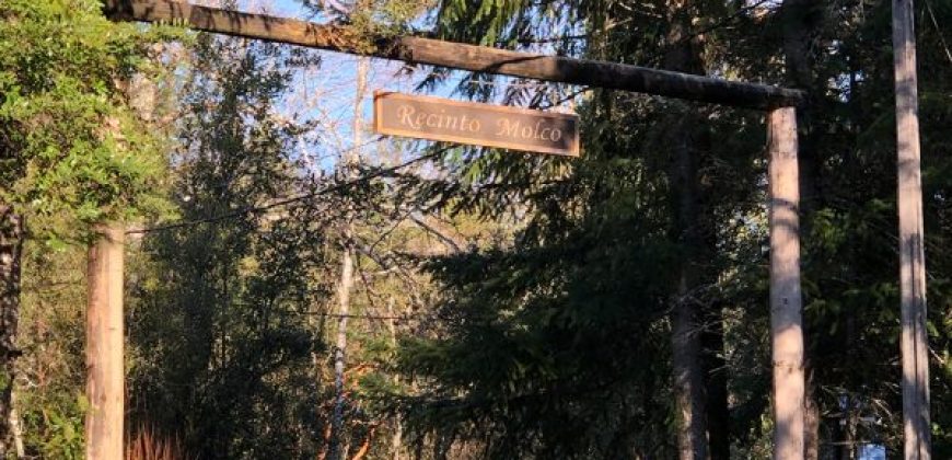 Parcela El Molco Villarrica-Pucón