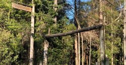 Parcela El Molco Villarrica-Pucón