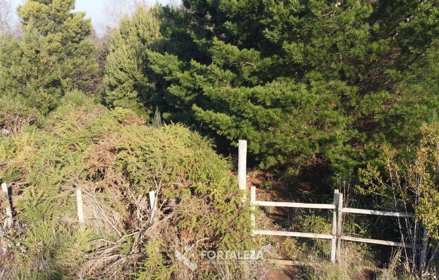 Parcela Sector Lomas de Chivilcán, Temuco