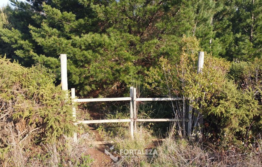 Parcela Sector Lomas de Chivilcán, Temuco