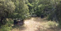 Parcela sector Chucauco-Schleyer, Villarrica