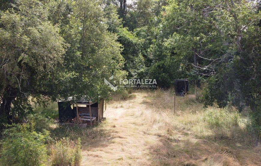 Parcela sector Chucauco-Schleyer, Villarrica