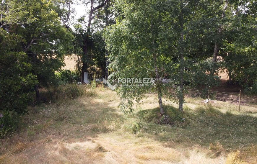 Parcela sector Chucauco-Schleyer, Villarrica