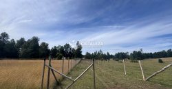 Parcela sector Chucauco-Schleyer, Villarrica