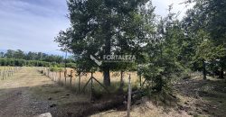 Parcela sector Chucauco-Schleyer, Villarrica